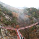 거창 항노화 힐링랜드 이미지