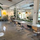 Cafe halo(카페 헤일로) | 용인 고기동 카페 추천, 계곡 테라스가 매력적인 '카페 헤일로' 주말 나들이 후기