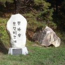 문바우마을 Daum카페