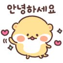 하얼빈면포