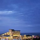 이-대게존 | 삼척 여행 코스 완전판 | 쏠비치삼척 오션뷰부터 장호항 대여용품, 대게맛집까지