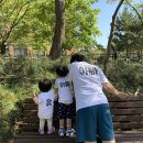 아토키즈풀빌라 이미지