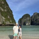 신기한 동식물여행 2 | 피피섬 마야베이 투어❤️가격, 복장, 삐레만, 몽키베이, 대나무섬 가기