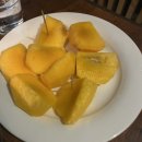 나까마슈 이미지