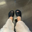 엘노어(ELNORE) 이미지