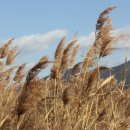 장산마을영농조합법인 이미지