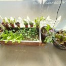 옥계남로5길-1 이미지