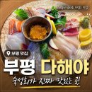 다해 | [부평 맛집] 부평 숙성회 맛집 다해야 솔직 후기(숙성회부터 조개탕까지 완벽했던 부평 맛집)