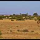 차와사람들 이미지