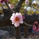 부산수목전시원 이미지