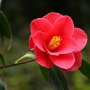 의귀리마을 이미지