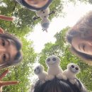 브루니엘 | 🇭🇰홍콩& 🇲🇴마카오 2- 홍콩디즈니랜드사건: 디즈니랜드가서 돈을 털린 사건이다. 💸 | 겨울왕국 | 라이언...