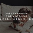 방역하는 친구들
