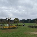 다다목장 이미지