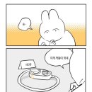 일상수집가 이미지