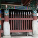 열녀 나주나씨 정려 이미지