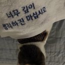 러닝메이트 이미지