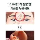 혼밥민족 이미지
