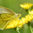 다선한의원 이미지