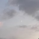 보라매공원테니스장 | 보라매공원 테니스장 후기(+예약방법)