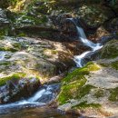 태안사계곡 이미지