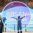 가덕코이