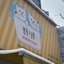 봄동살롱 이미지