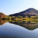 삼화농장 이미지