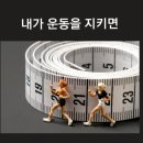 허브앤점핑다이어트