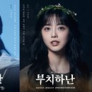 (공연) 뮤지컬 1 MBC연예