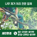 세진종합관리 이미지
