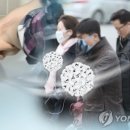 굴도