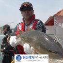 바다정성