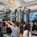 룰루 휘트니스 이미지