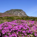 한라산 - 강서구 | 한라산