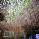 송림환경(주) 이미지