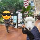 모텔파스텔 | 칠순의 엄마와 시엄마랑 떠난 겨울 유럽 여행 7박 9일-프롤로그(feat. 여행을 떠나기까지 3편)