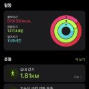카페능내