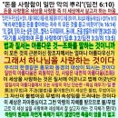 새창조 이미지