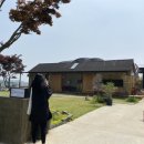 파베뉴(Pavenue) 이미지