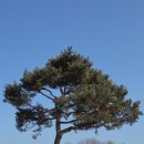 방축1리 이미지