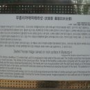 무릉도원면-14 이미지