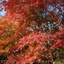 산골어린이 공원 이미지