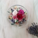 더수다 (TheSuDa) 이미지