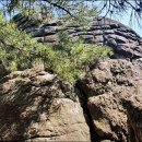 경주숲 3,4 이미지