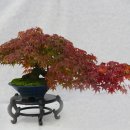 청암공원 이미지