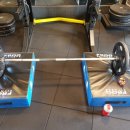 머슬베어짐 이미지