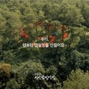 강화바다관광농원 이미지