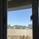 하판식육식당