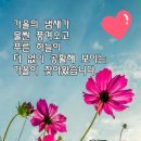 상하이노래빵 이미지